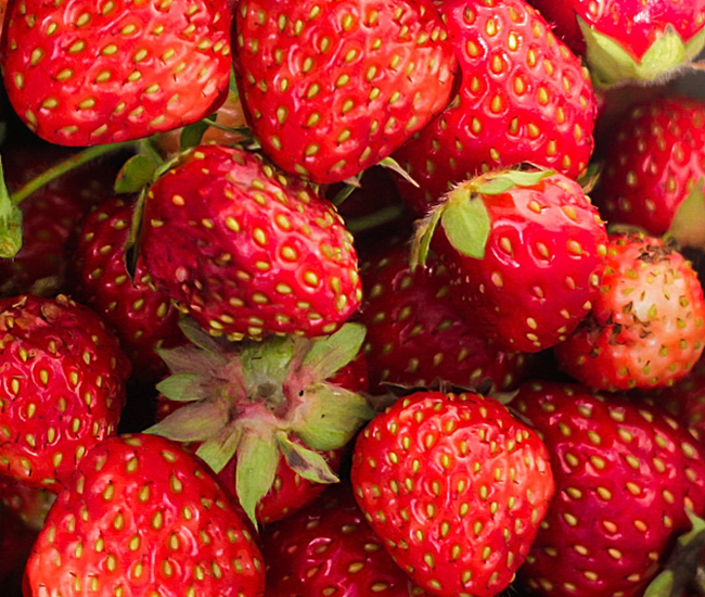 fresh strawberries