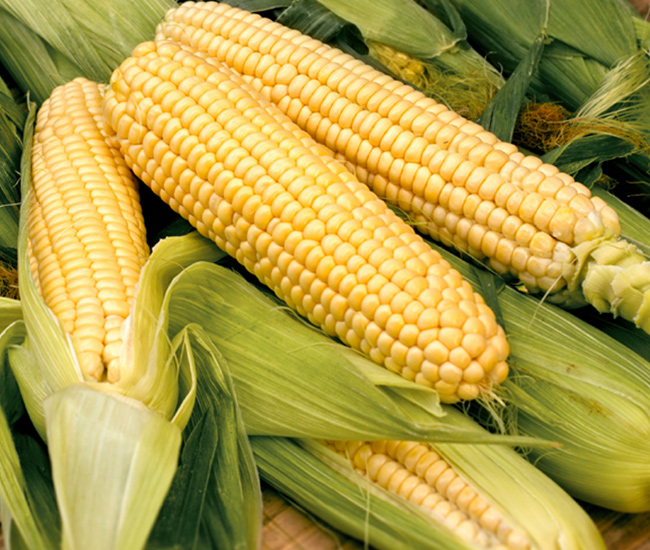 Sweet corn