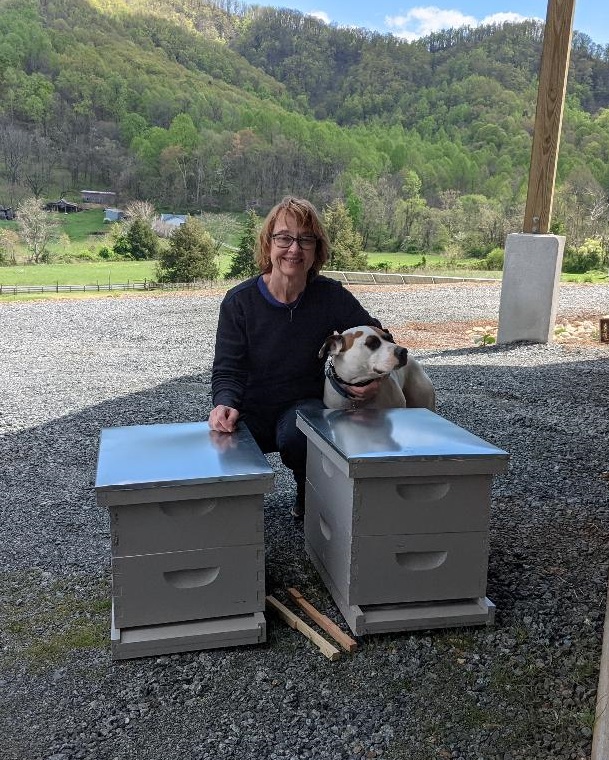 New Hives Ready for Occupants